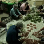 مستند ضیافت